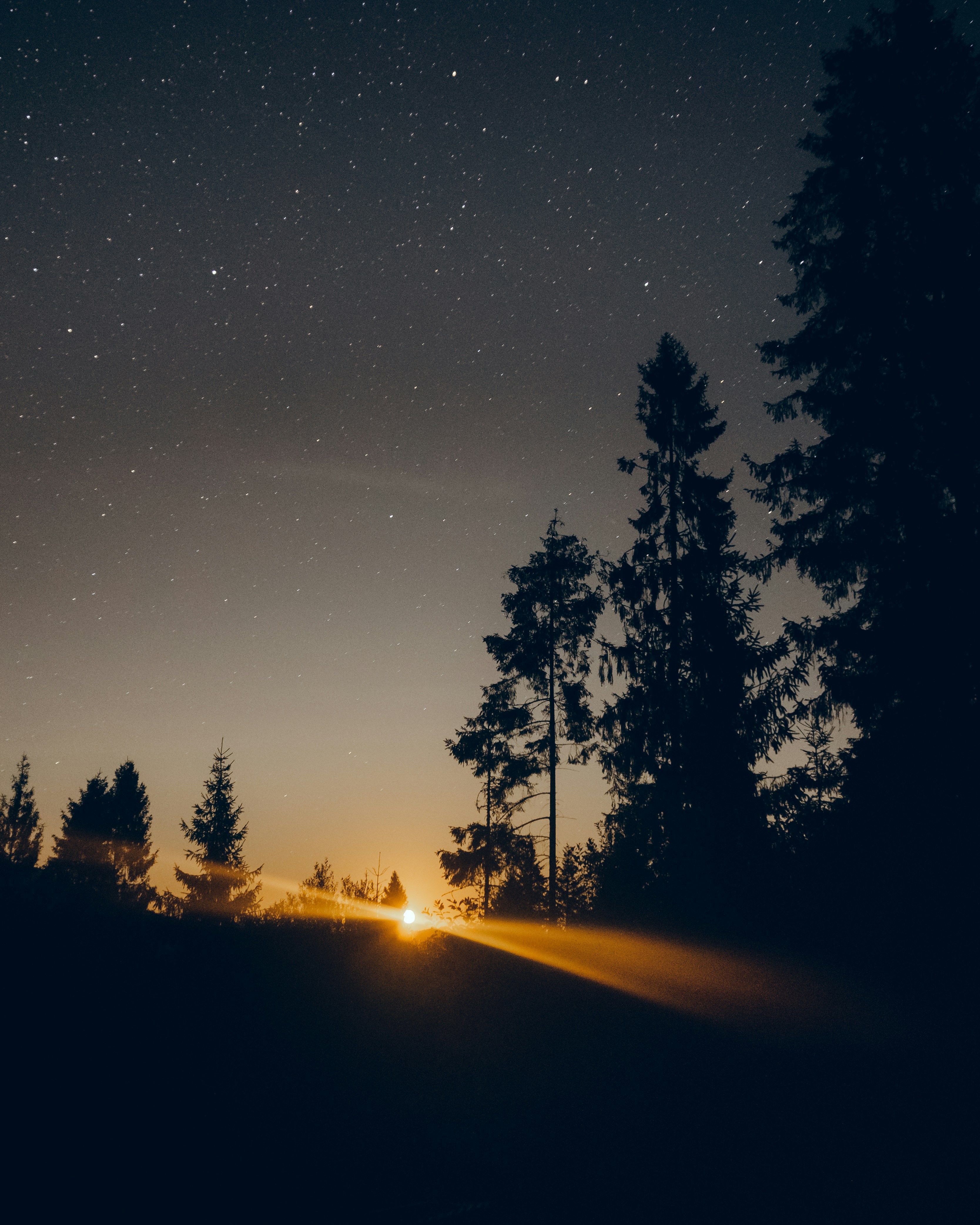 Photo by eugene_tkachenko