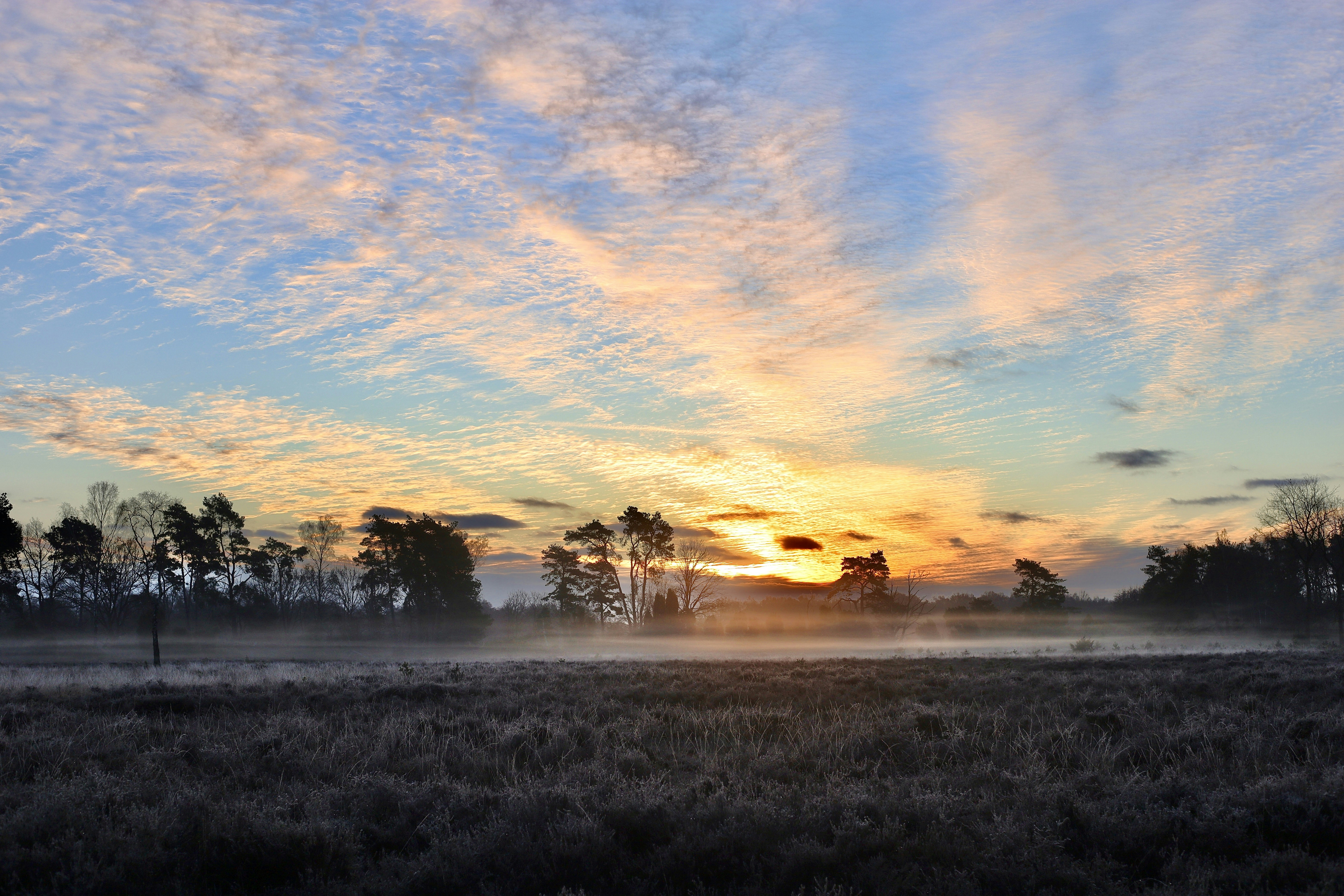 green grass field under blue sky during daytime