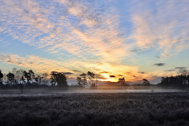 A serene landscape at sunrise with soft light illuminating the horizon.