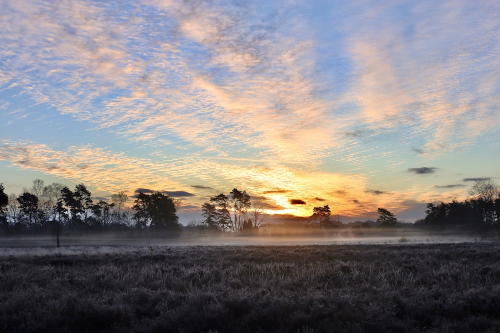 Grünes Grasfeld unter blauem Himmel tagsüber