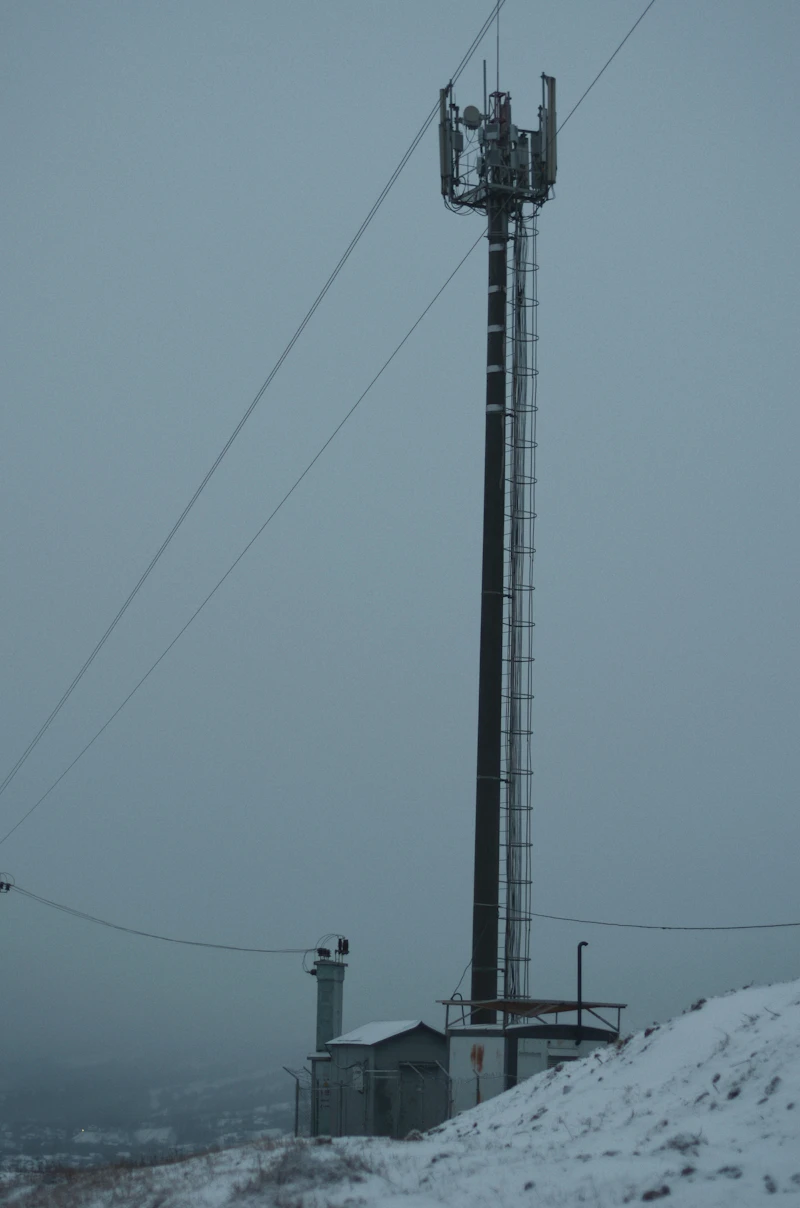 Tower and mast inspection
