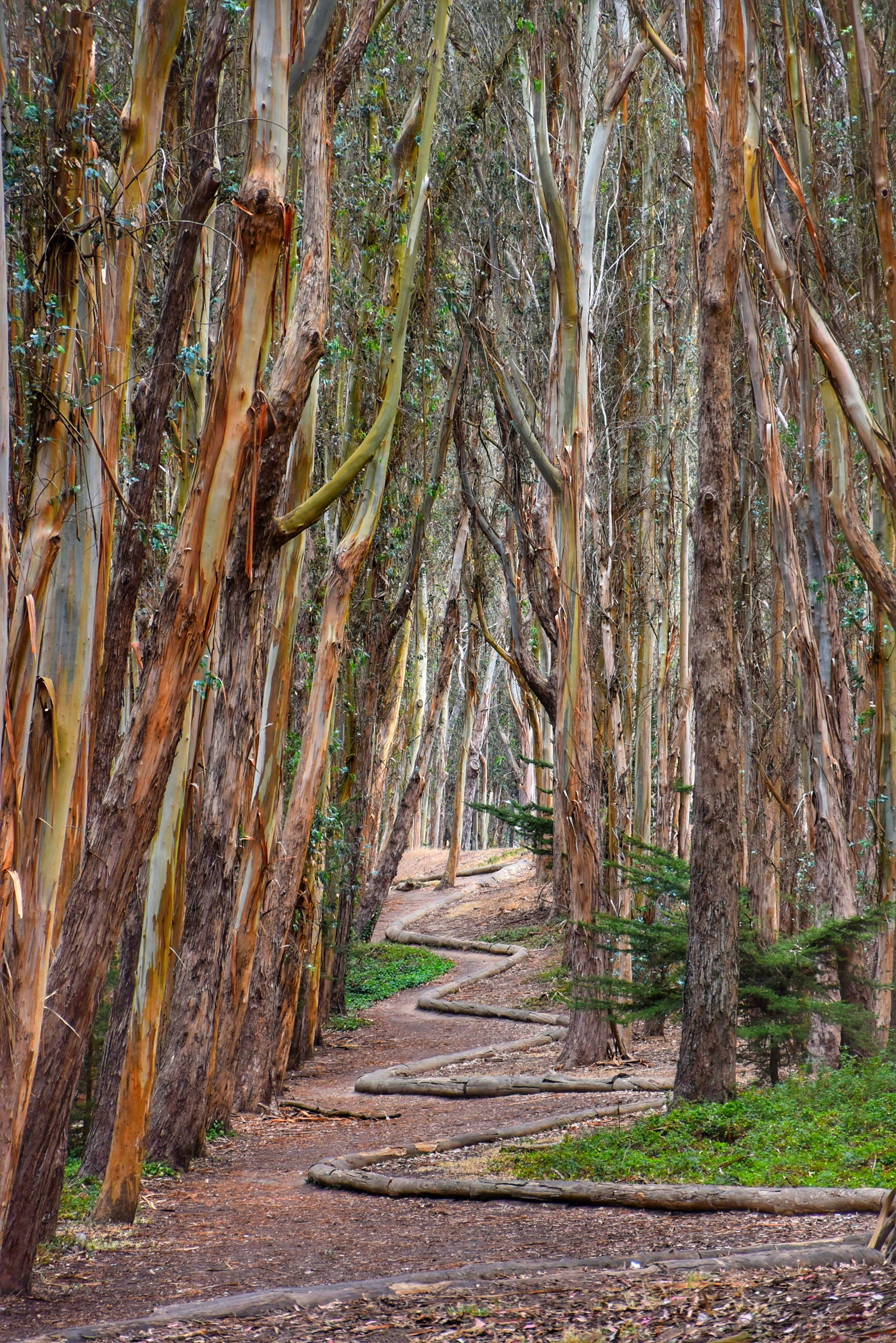 Photo by tejaschaphalkar