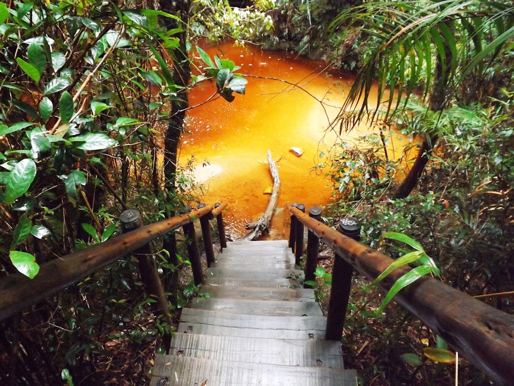 ponte de madeira marrom sobre o rio