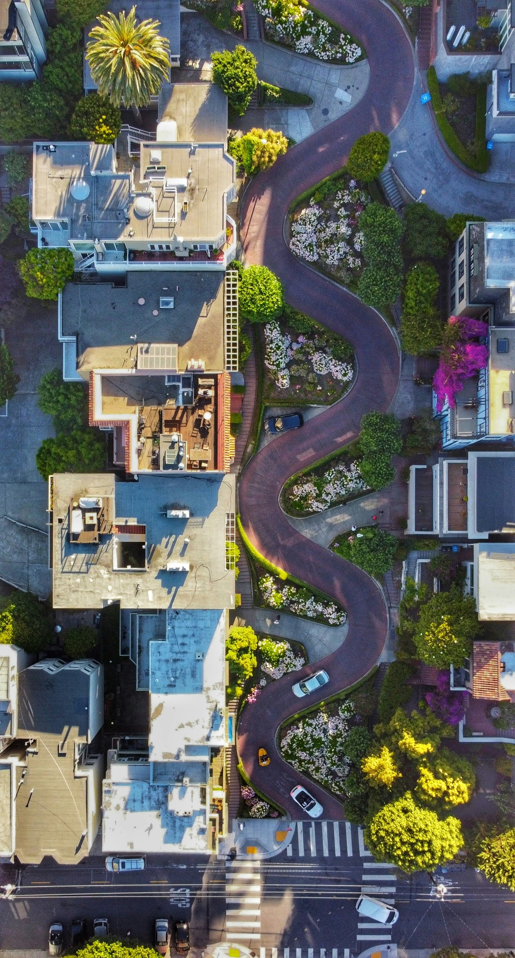 Photo by tejaschaphalkar