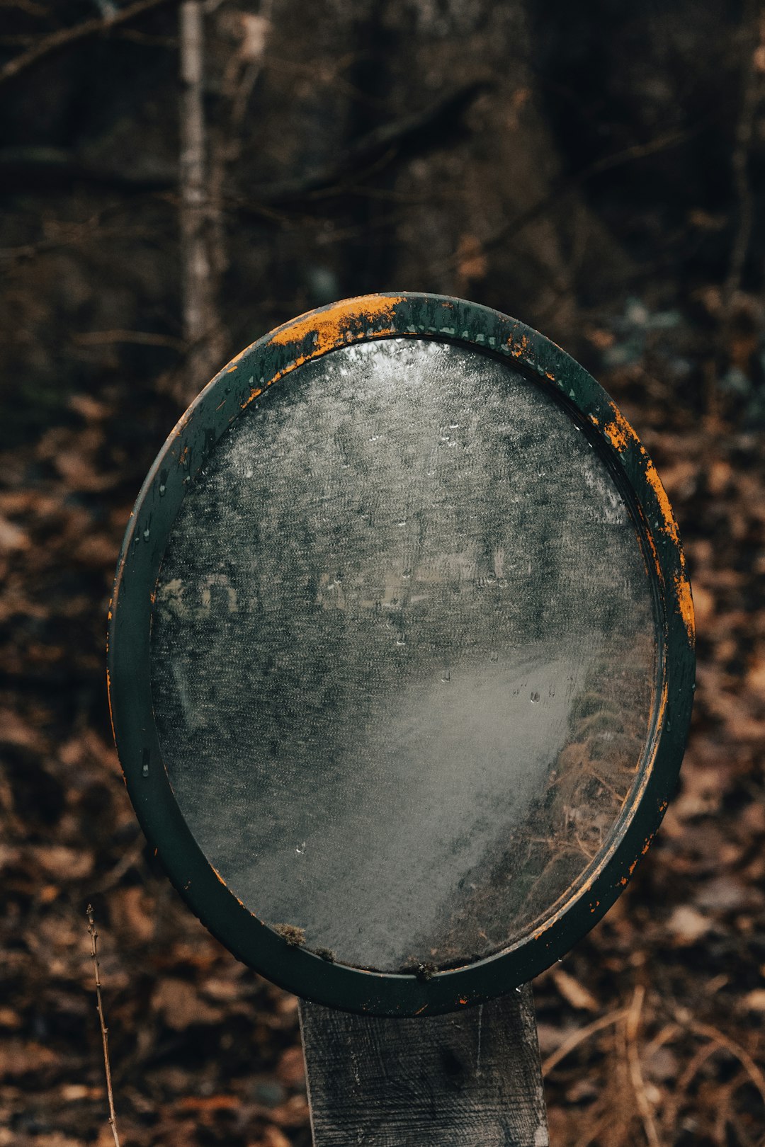 black and brown round frame