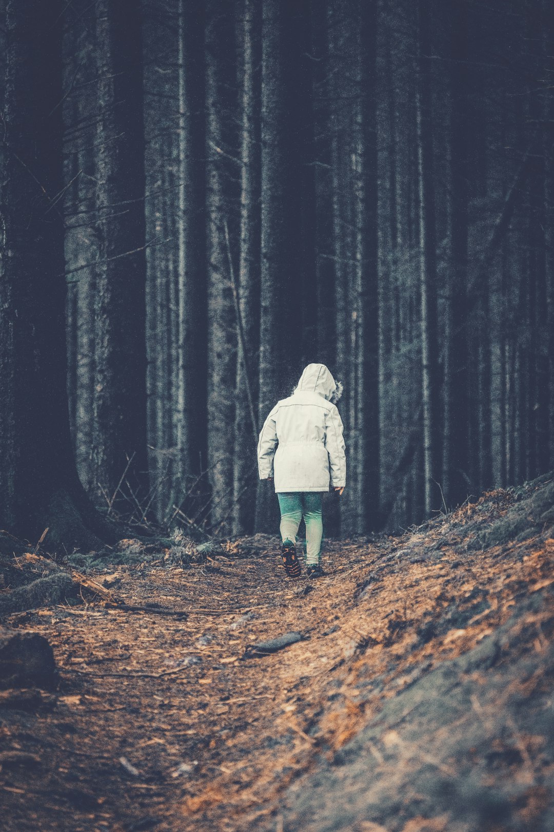 person in white jacket standing on brown dried leaves in forest during daytime