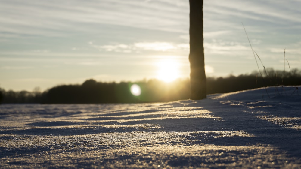 snow covered field during sunset