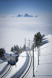 Panoramic view from a luxury train window showing snow-capped mountains and dense pine forests under a clear blue sky.