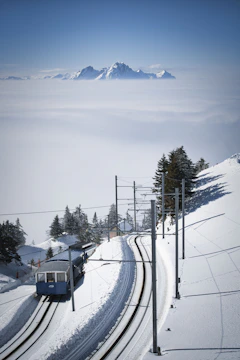 Panoramic view from a luxury train window showing snow-capped mountains and dense pine forests under a clear blue sky.