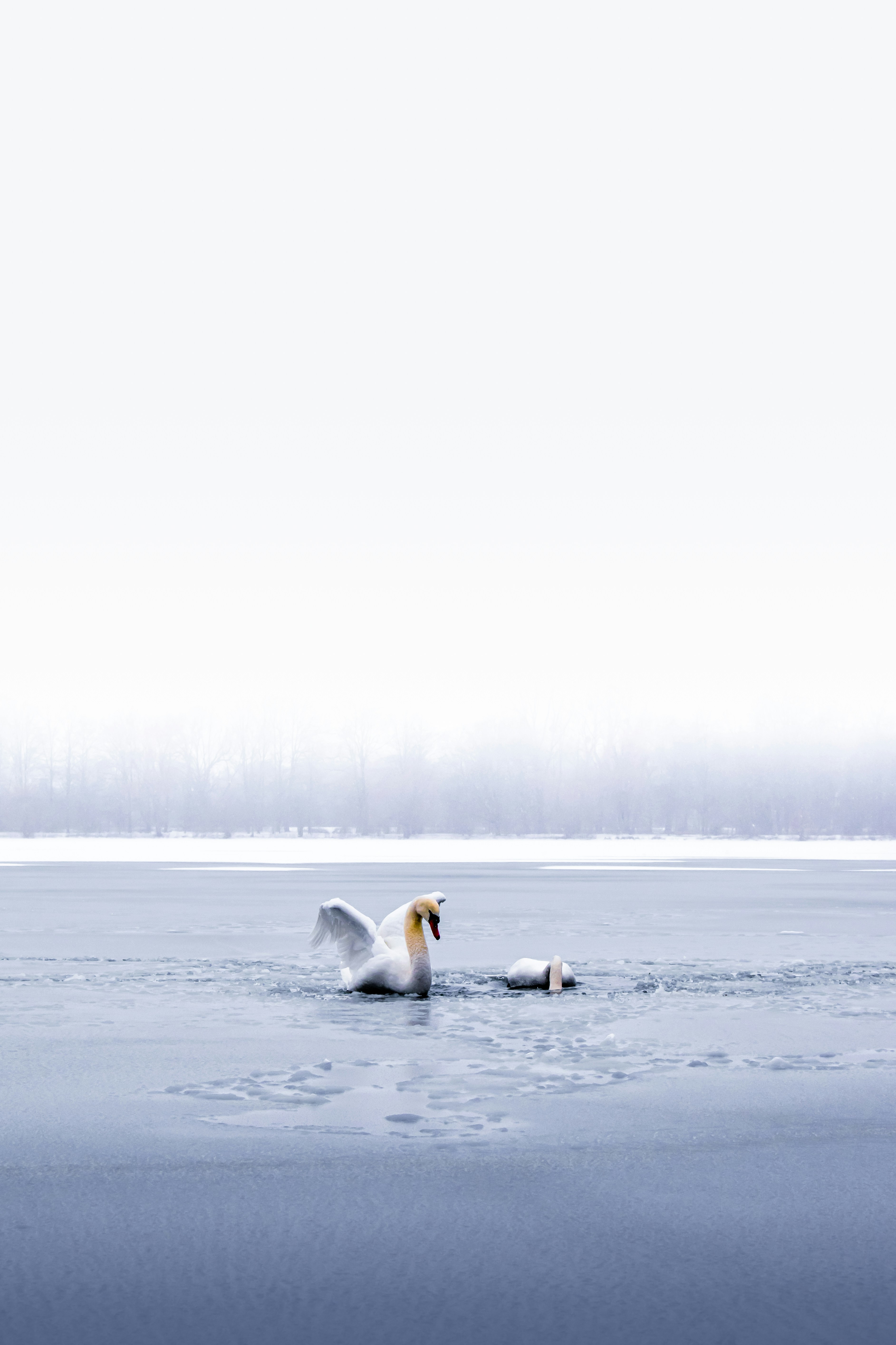 Athlete Recovery 101: Getting Started With Cold Plunges