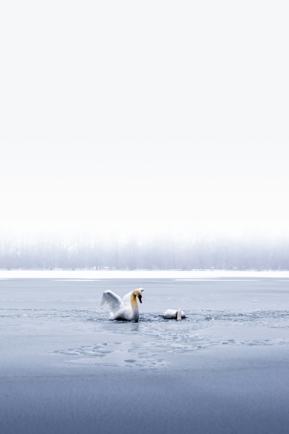 2 person in white snow covered ground during daytime