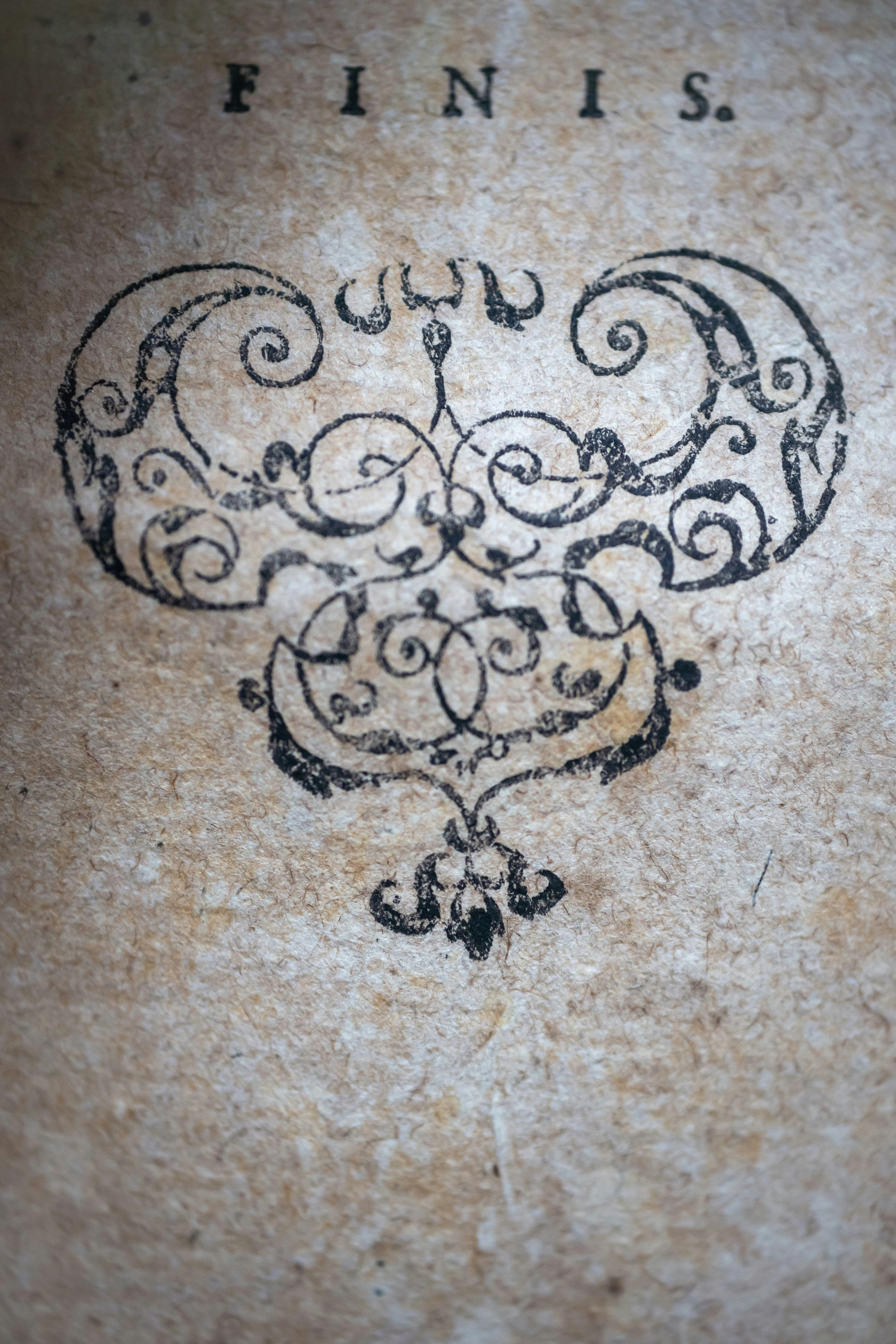 Photo by gabiontheroad