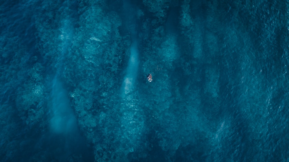 person in body of water during daytime