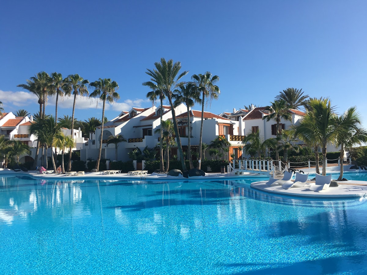 Piscina con palmeras en villa vacacional en Tenerife