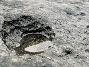 Sunken areas treated with waterproofing solutions.