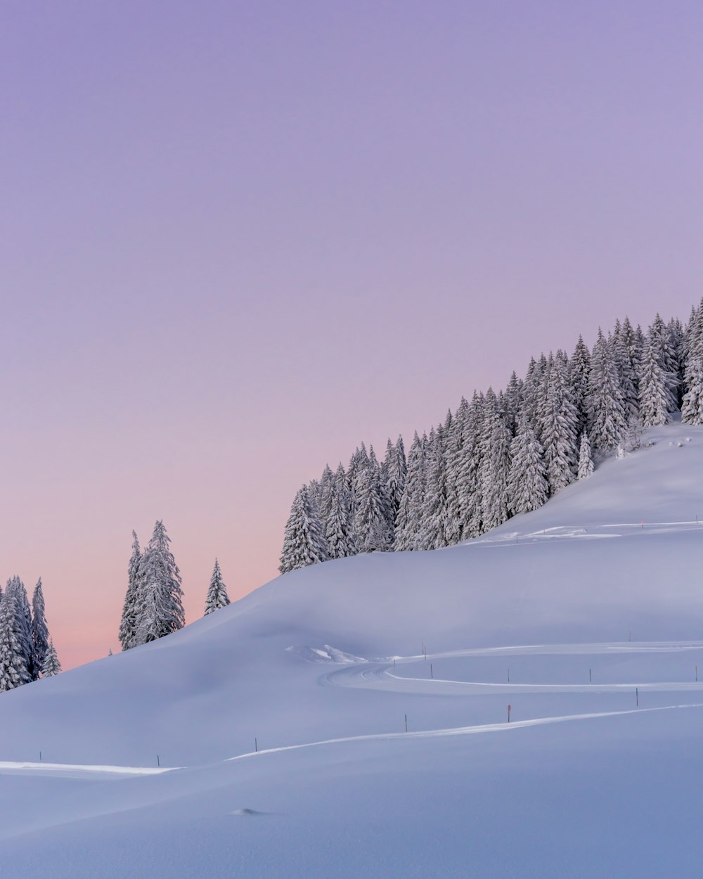 snow covered field with trees under blue sky during daytime