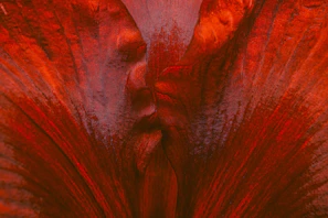 Close-up acrylic artwork featuring bold floral patterns in bright reds and yellows.