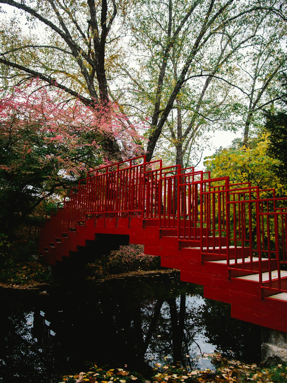 red bridge over river surrounded by trees