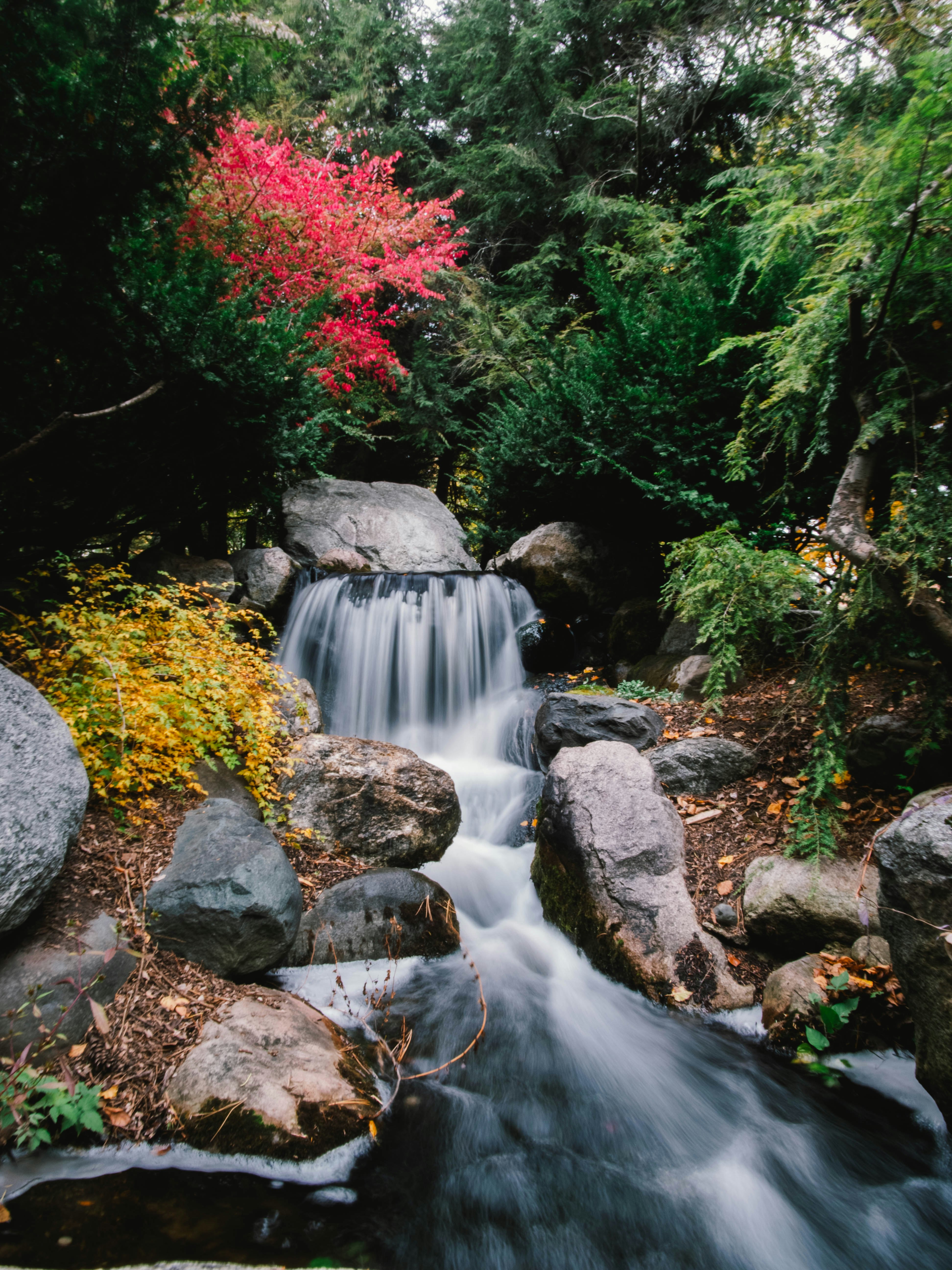 water falls in the middle of the forest