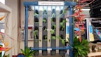 A vertical aquaponics system with several green plants growing in cylindrical grey tubes, supported by a blue frame. The setup is labeled with signs like 'PECHAY' and 'GROW BED.' Various colorful flowers and green foliage are visible around the structure, with a background of informational posters.