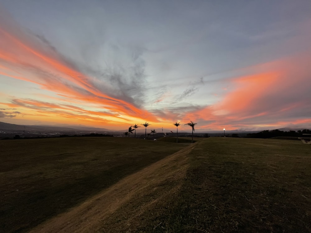 people walking on green grass field during sunset