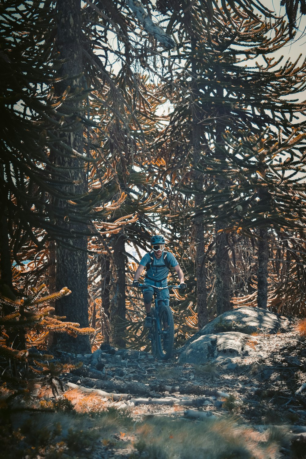 낮에는 벌거벗은 나무들로 둘러싸인 눈 덮인 땅에 서 있는 파란 재킷을 입은 남자