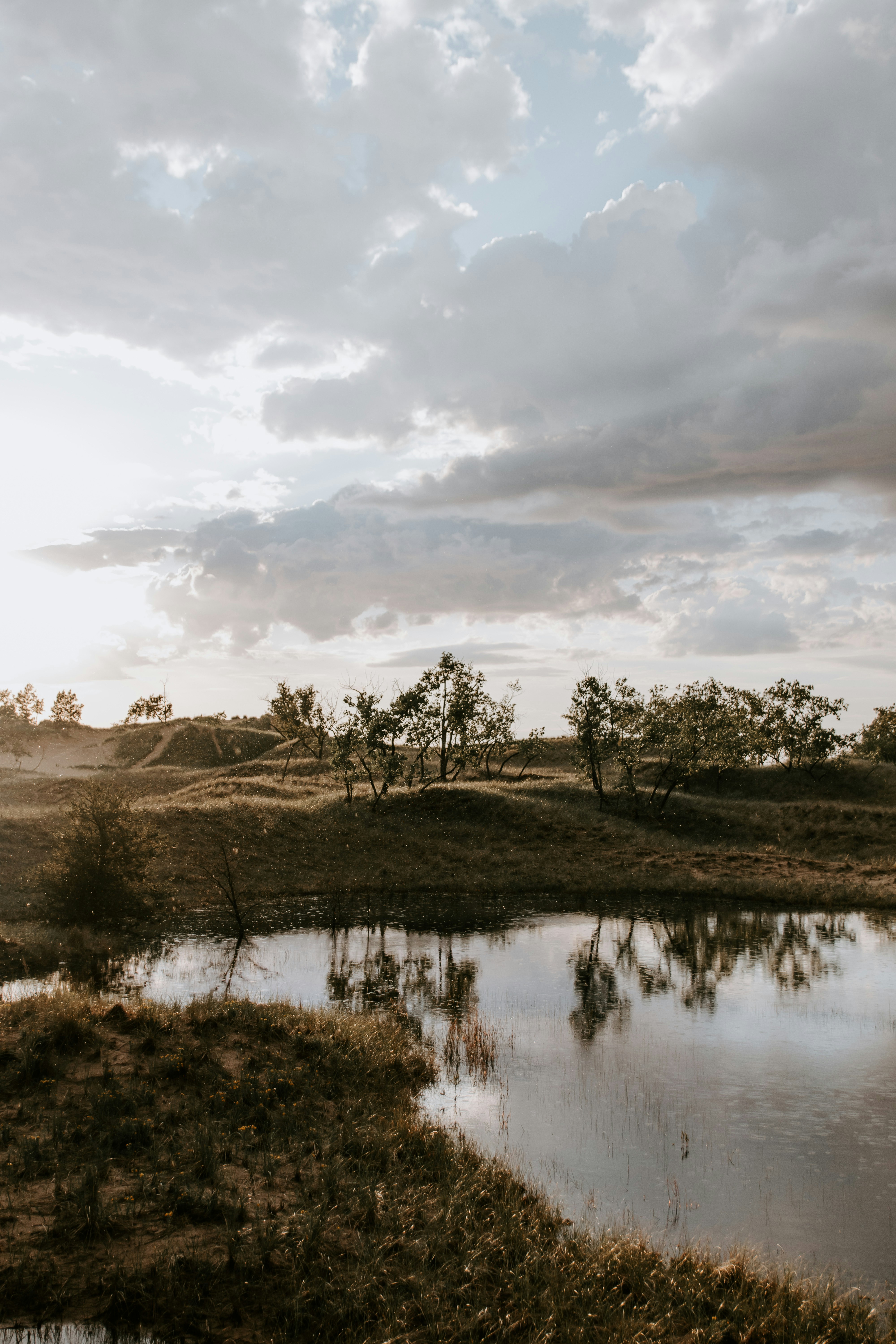 Photo by hayleymurrayphoto