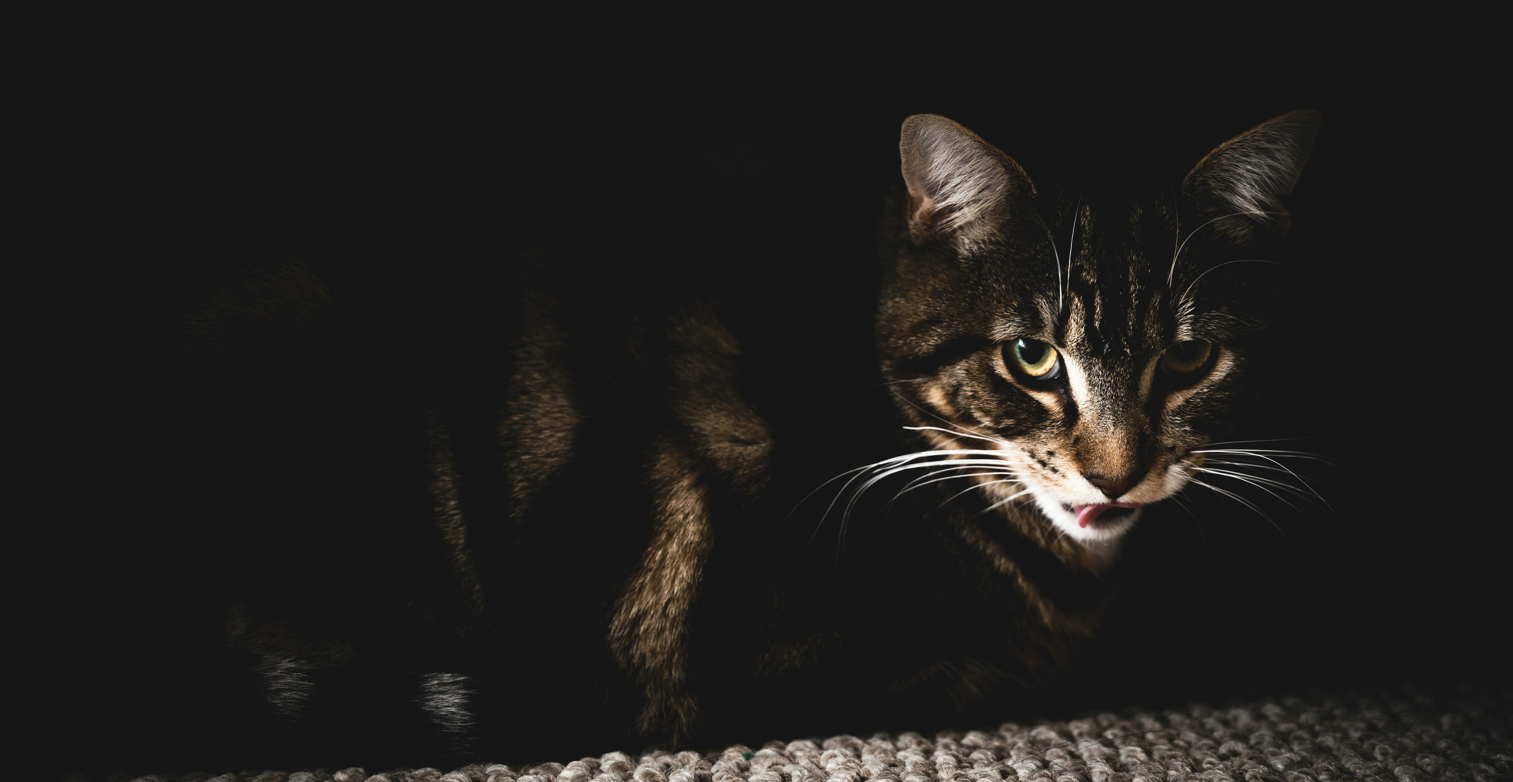 Photo by ryunosuke_kikuno