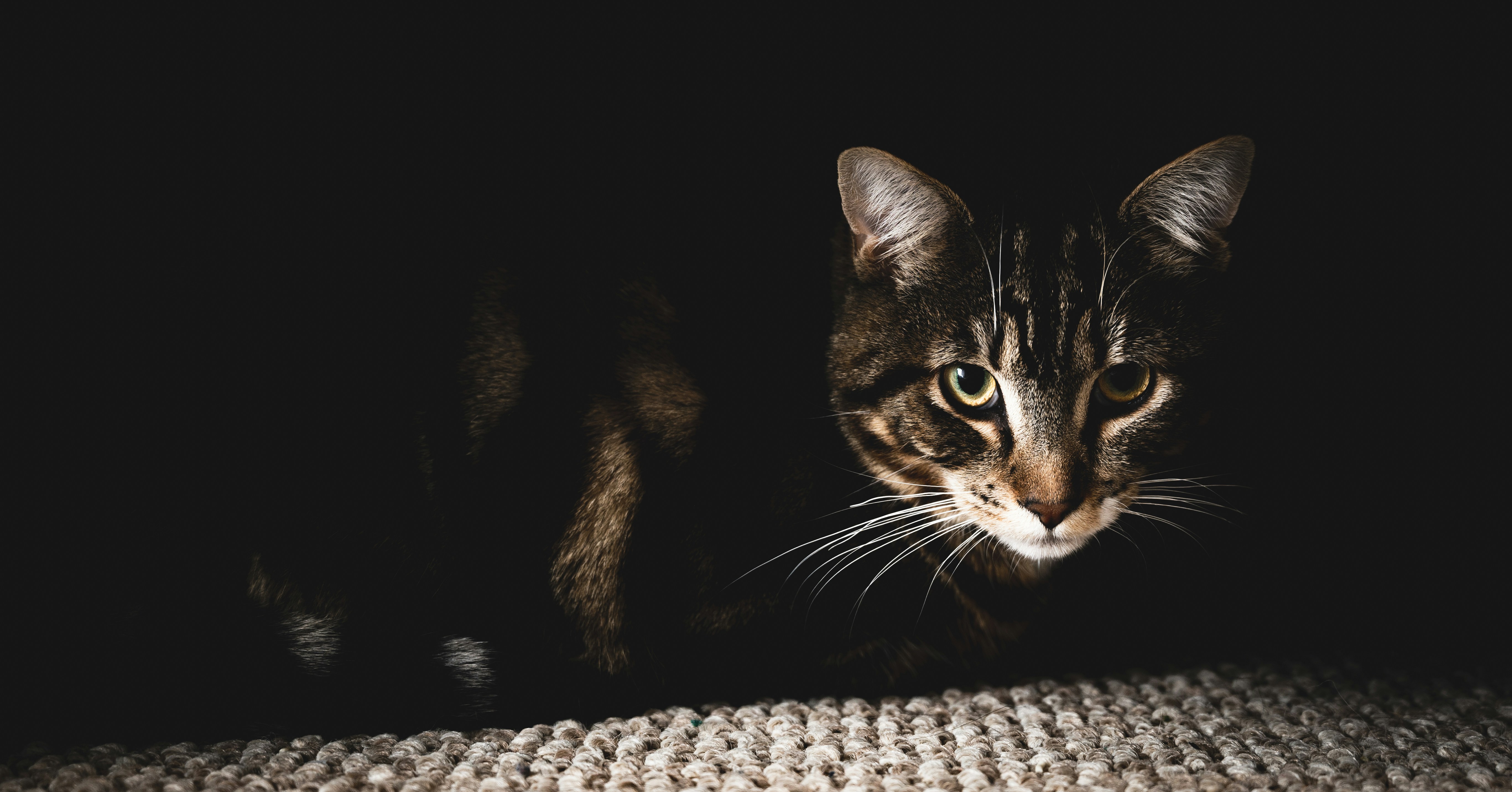 Photo by ryunosuke_kikuno