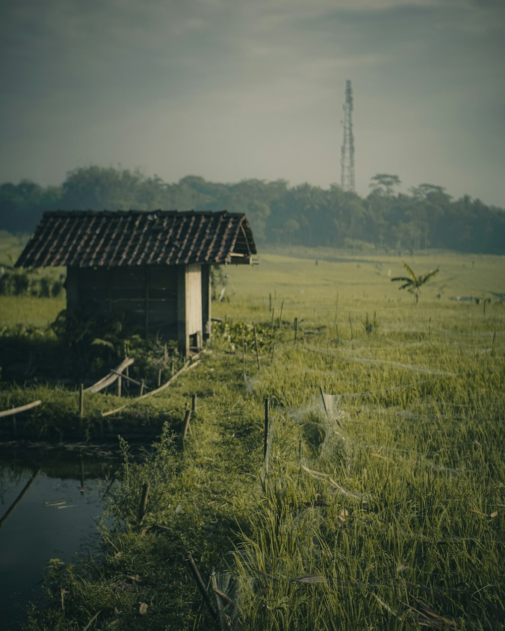 brown wooden house on green grass field near lake during daytime