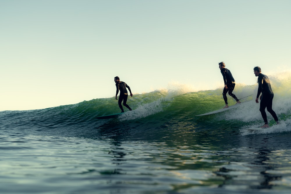 2 men walking on beach during daytime