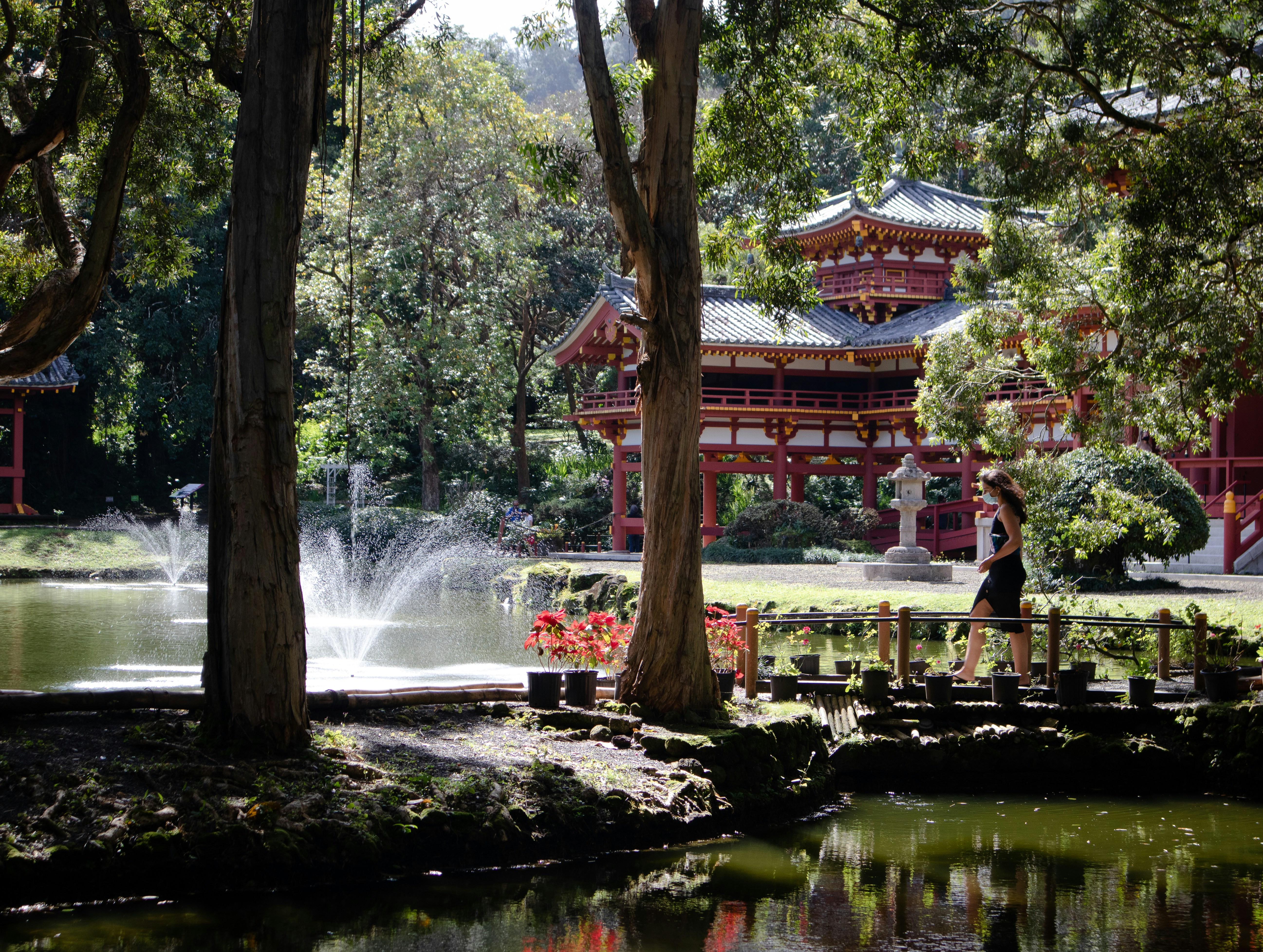 people walking on park near water fountain during daytime