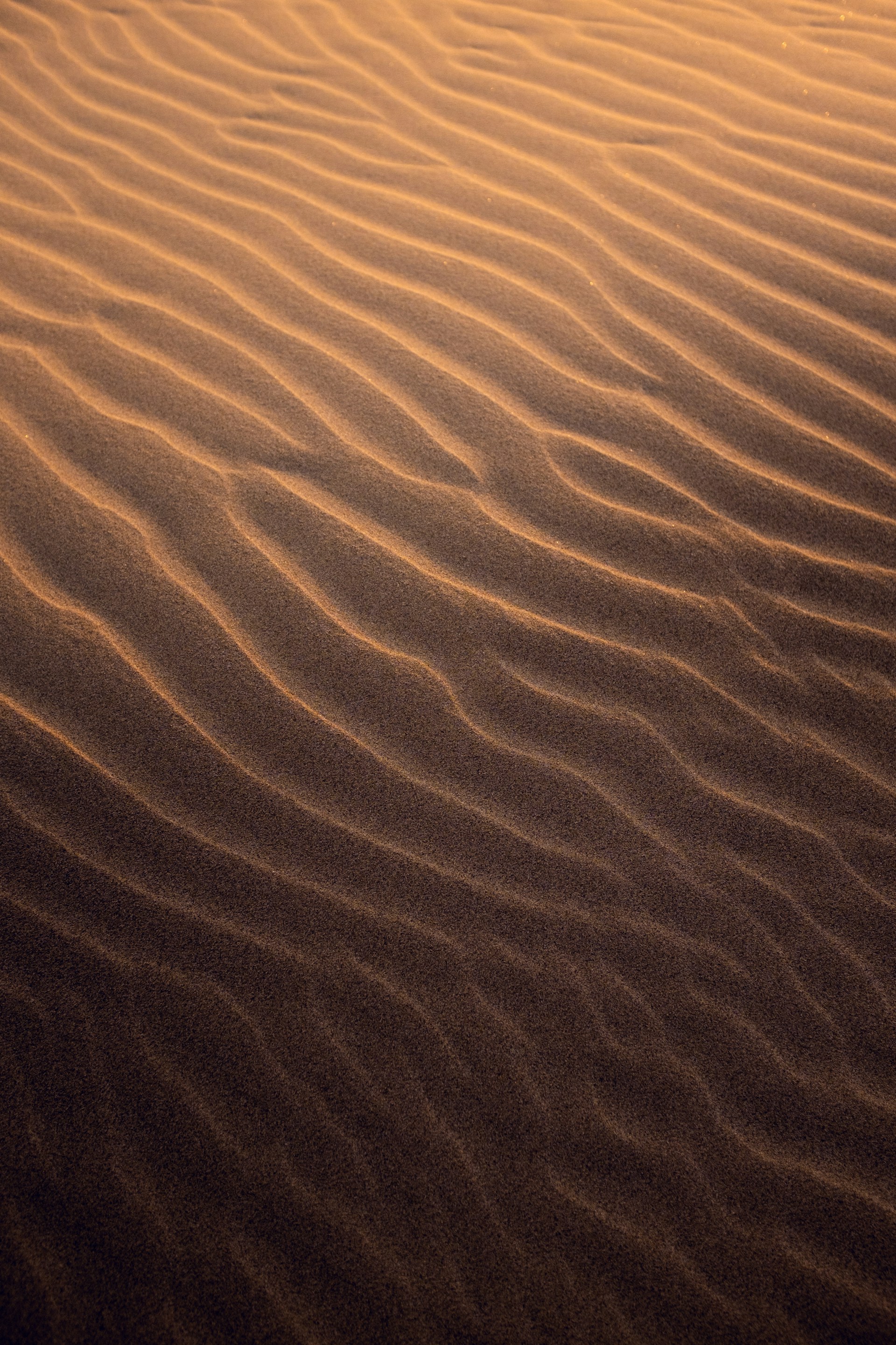 brown sand with water during daytime