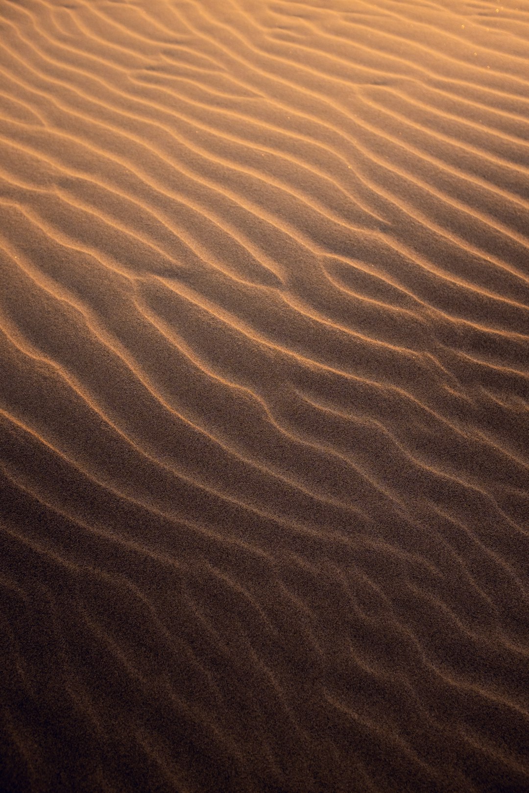 brown sand with water during daytime