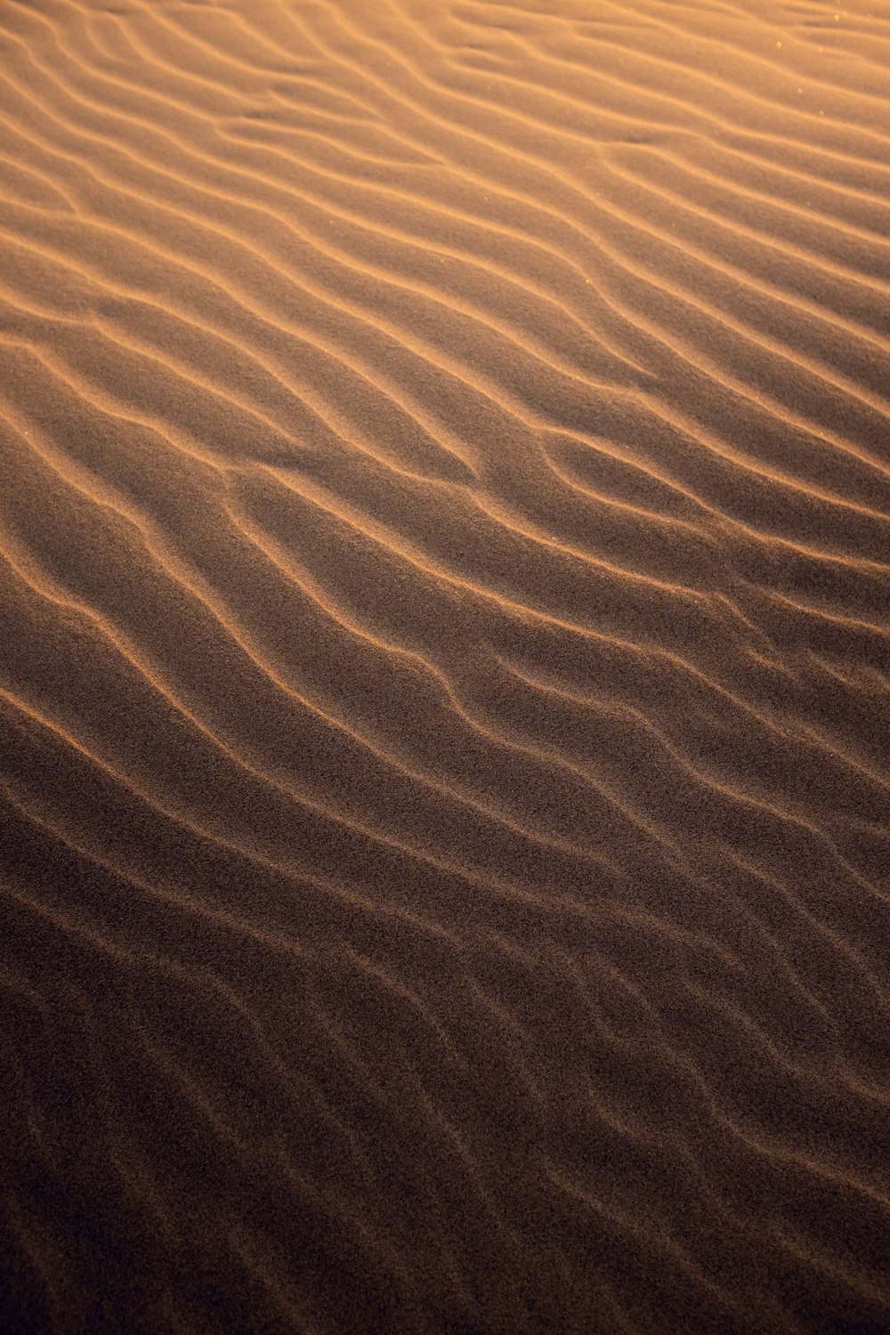 arena marrón con agua durante el día
