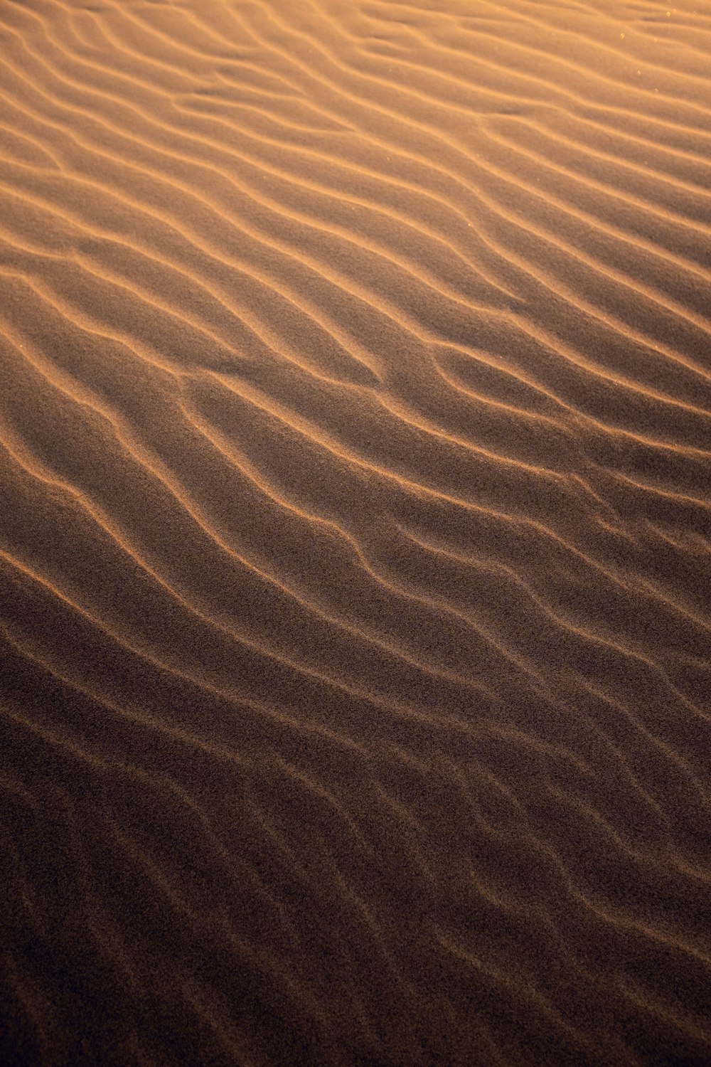 brauner Sand mit Wasser tagsüber