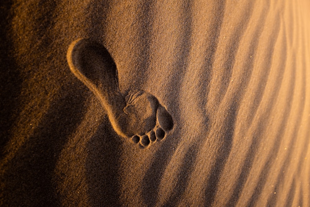 brown sand with heart shaped stones