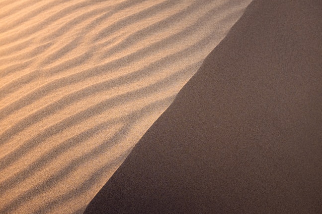 Golden sand dunes of the Namib Desert glowing under a soft sunrise.