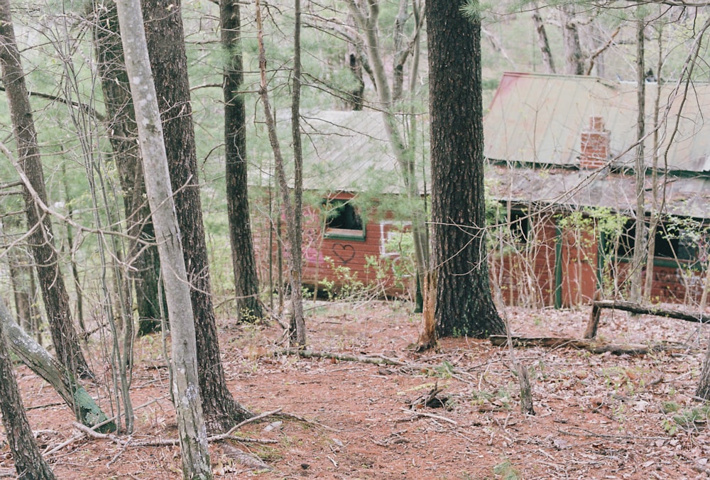 brown tree trunk near brown wooden house