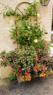 A charming mini garden trellis supporting delicate climbing flowers in a bright room.
