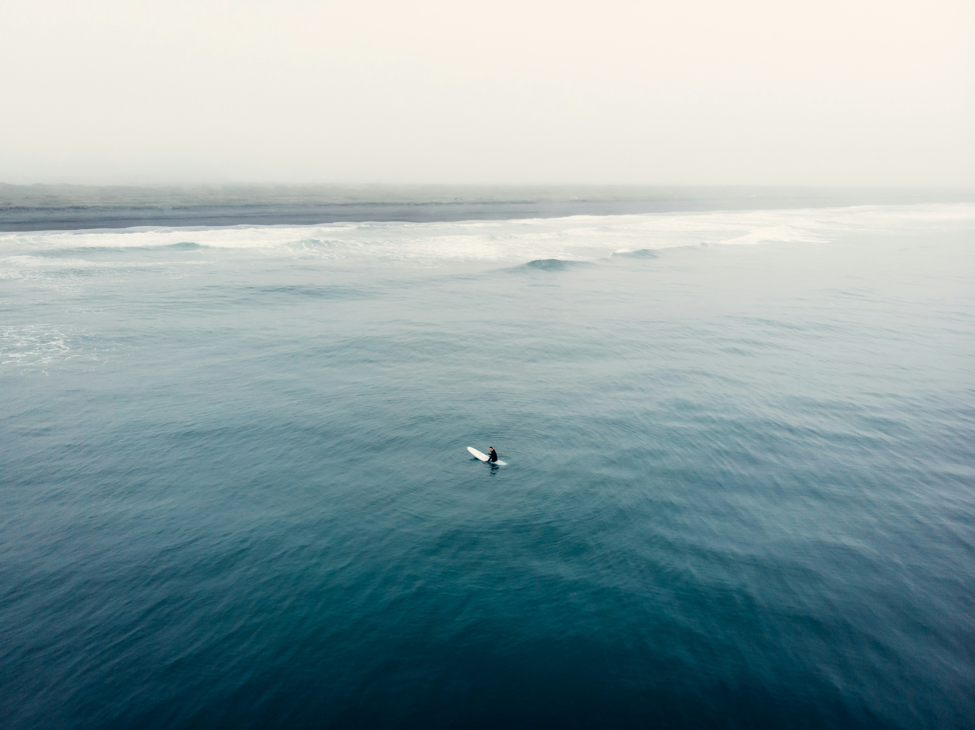 bird flying over the sea during daytime, A lone surfer on the shore of Khalaktyrsky beach. Kamchatka. Pacific Ocean.