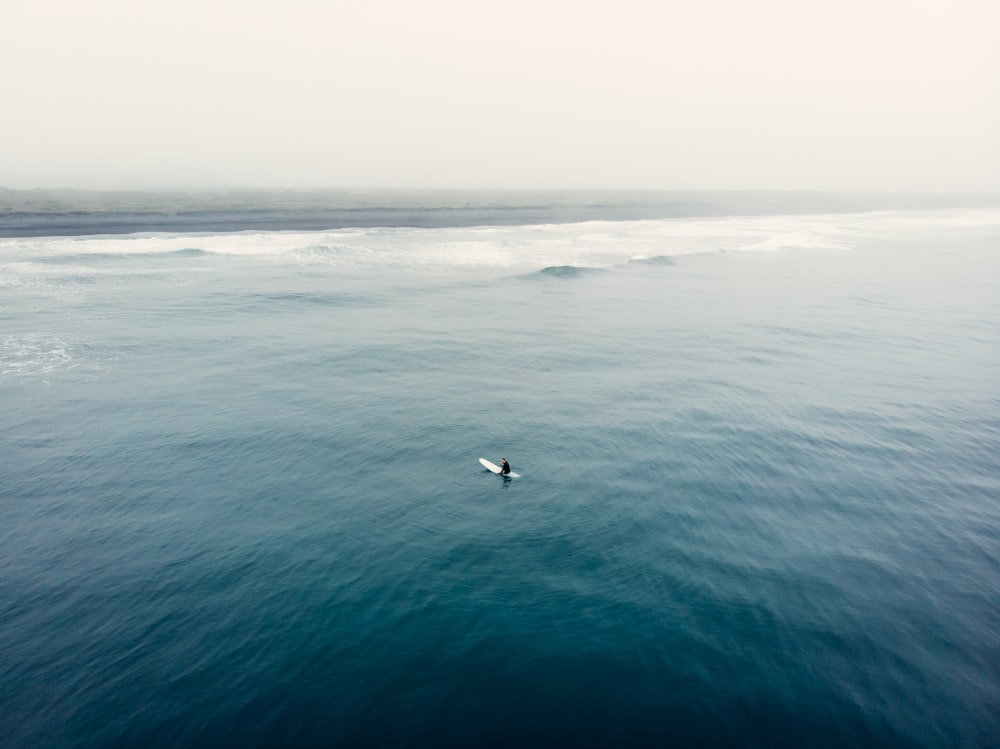 bird flying over the sea during daytime