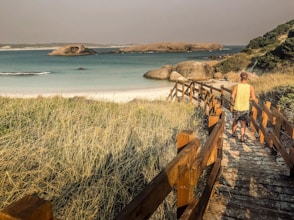 brown wooden fence on seashore during daytime