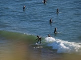 students surfing