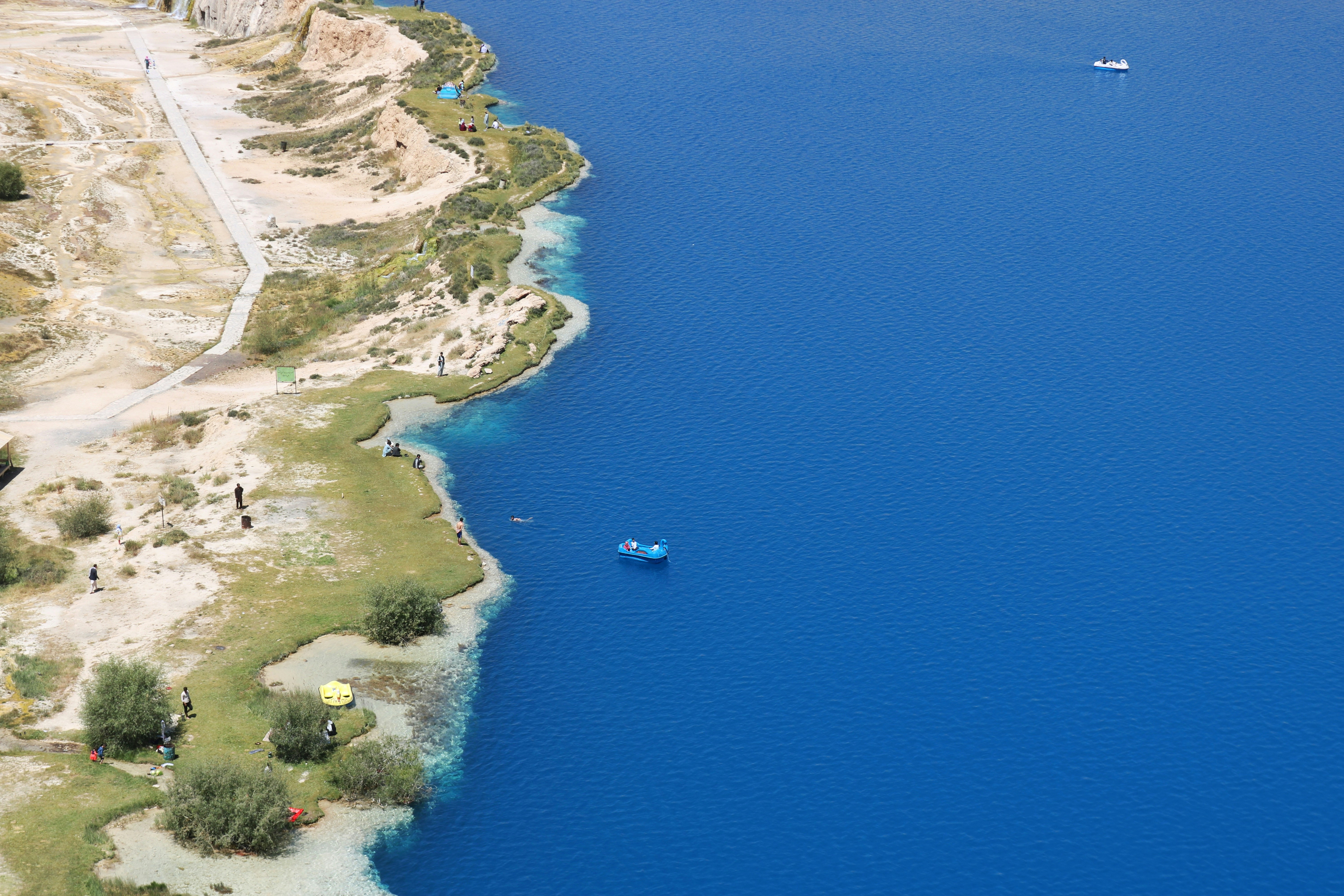aerial view of green trees on white sand beach during daytime