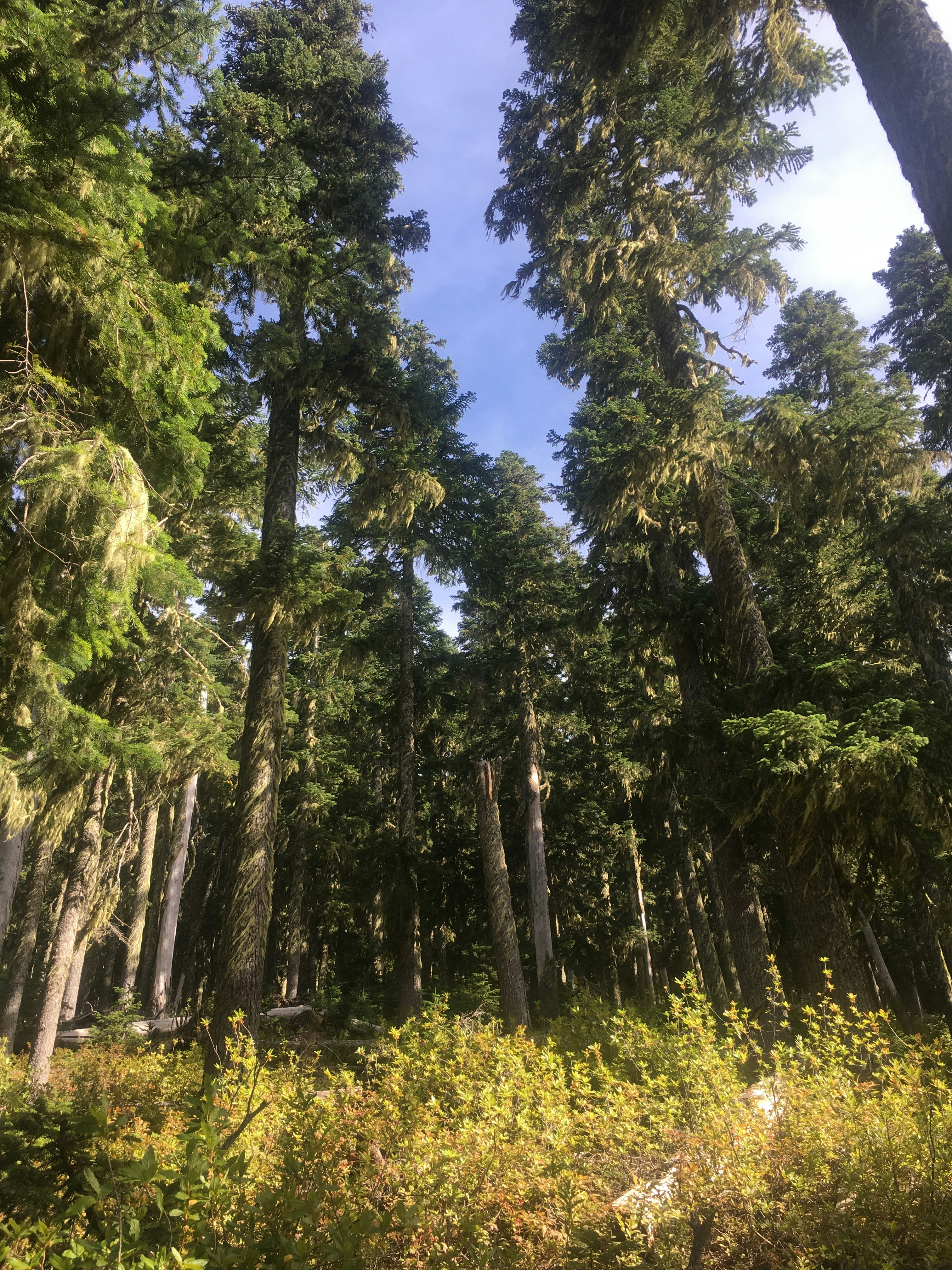 Photo by rwandan_prince