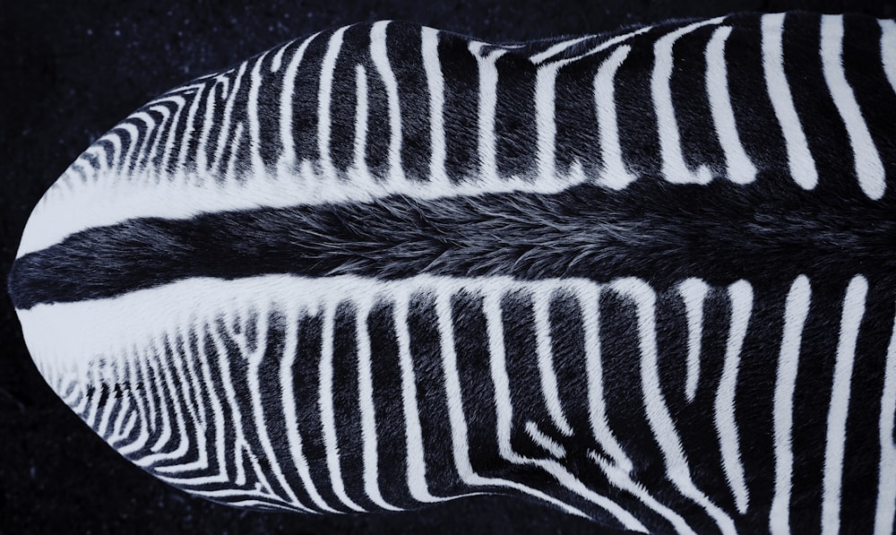 black and white stripe textile