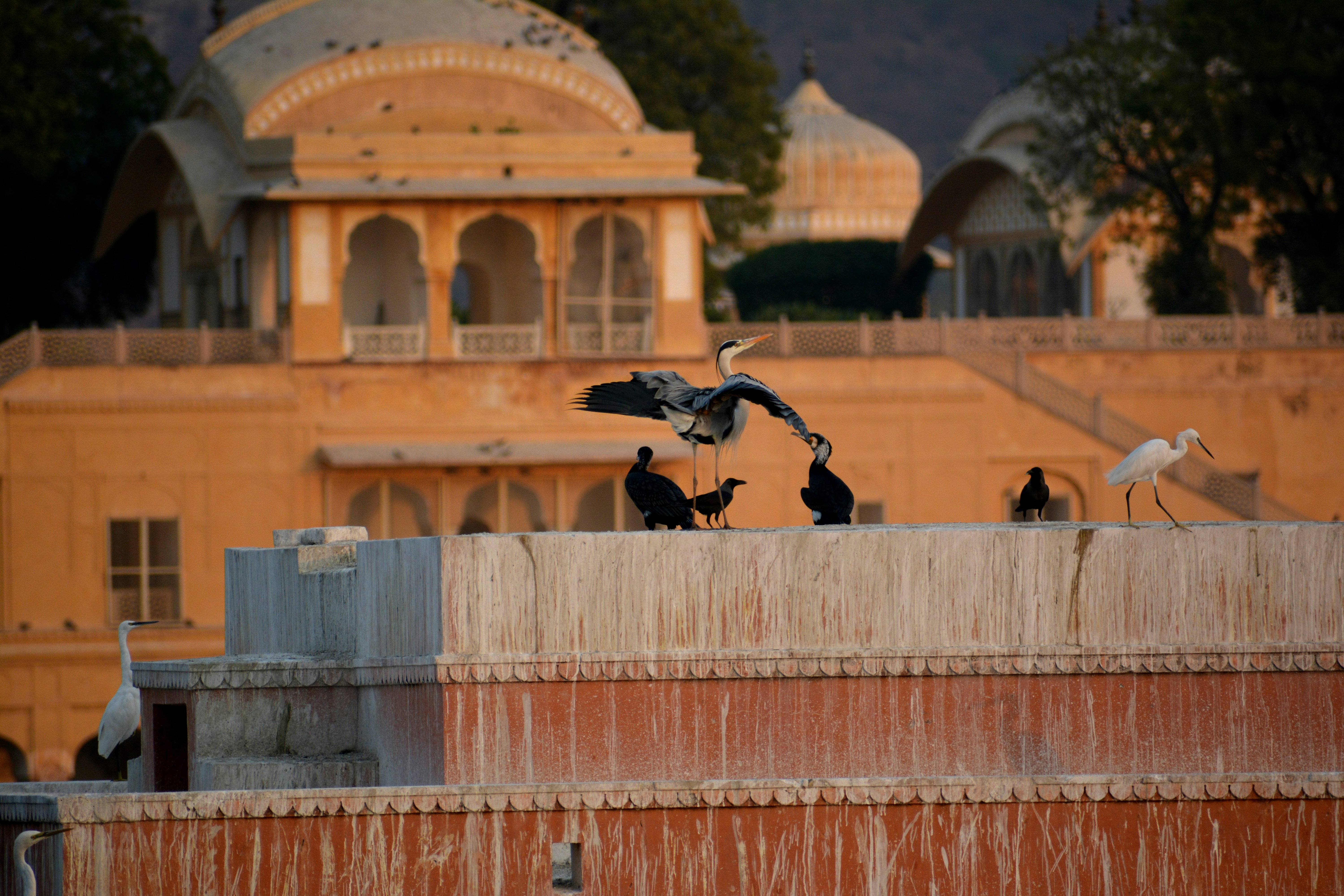 A scenic destination wedding backdrop in Jaipur