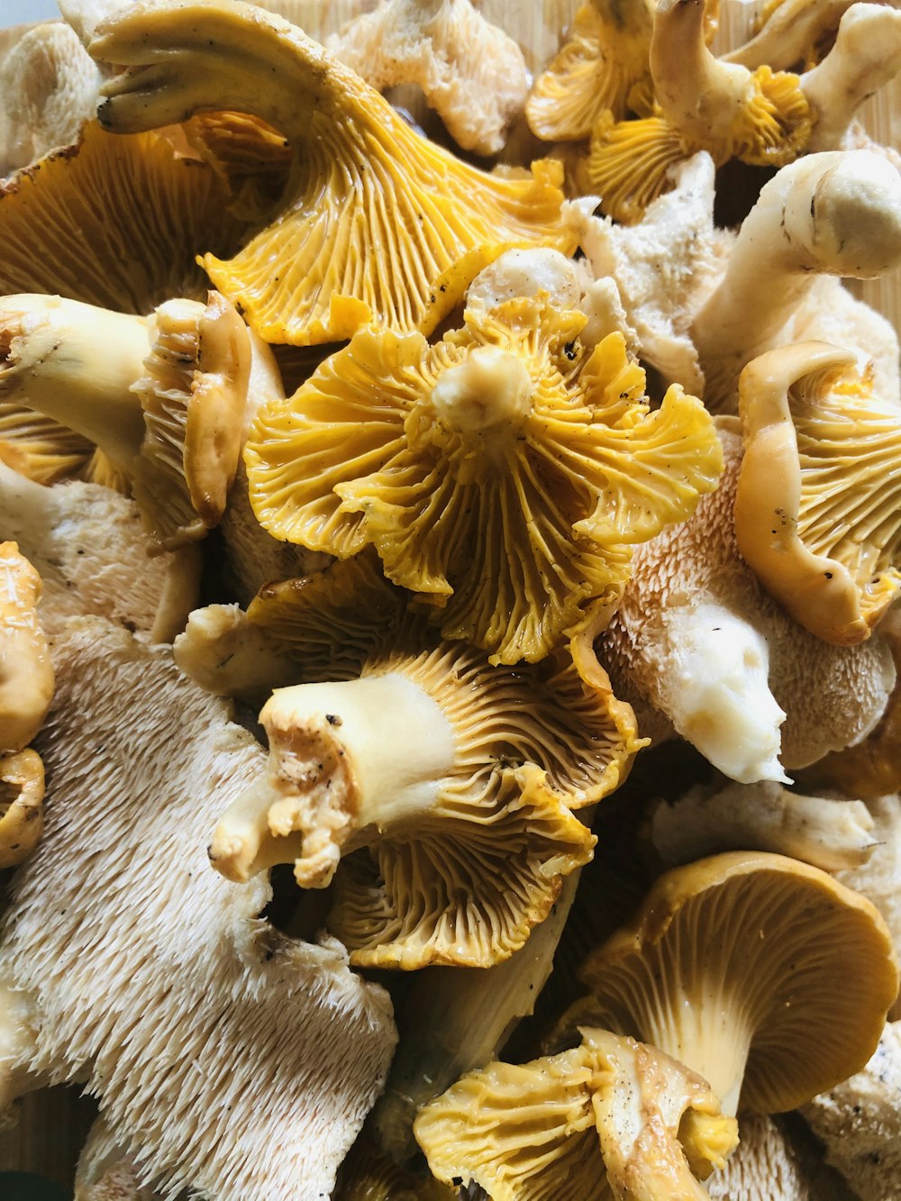 white and brown mushrooms on brown wooden table