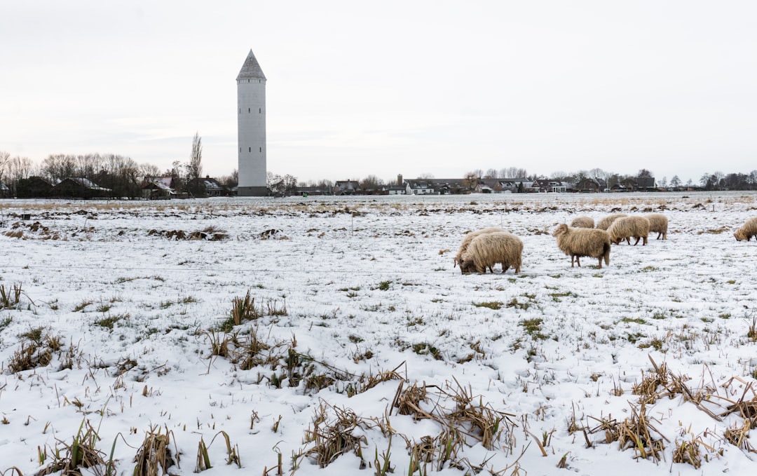 white and gray lighthouse on snow covered ground during daytime